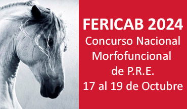 Concurso Nacional Morfofuncional de P.R.E.