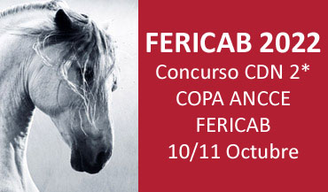 Concurso CDN ** Fericab - Copa ANCCE