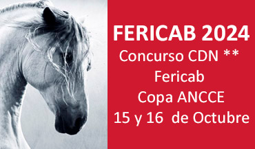 Concurso CDN ** Fericab - Copa ANCCE