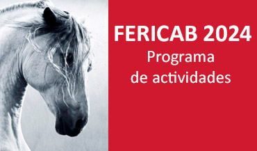 Programa de actividades Fericab